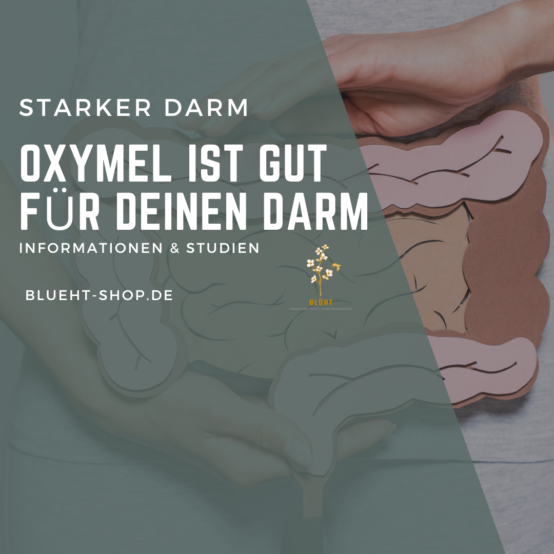 Oxymel ist gut für deinen Darm