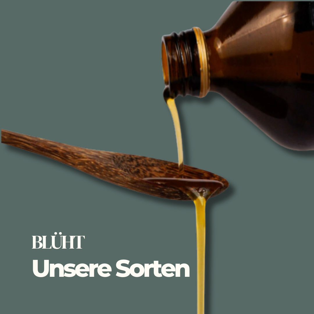 Unser Oxymel